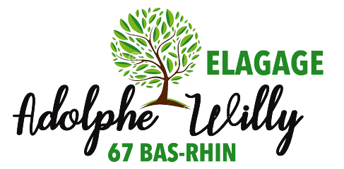 Logo-Adolphe Elagage 67